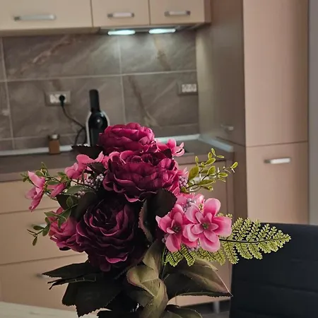 By Alezzi Prima Linie La Mare Piscina Interioara Si Exterioara Apartamento Năvodari